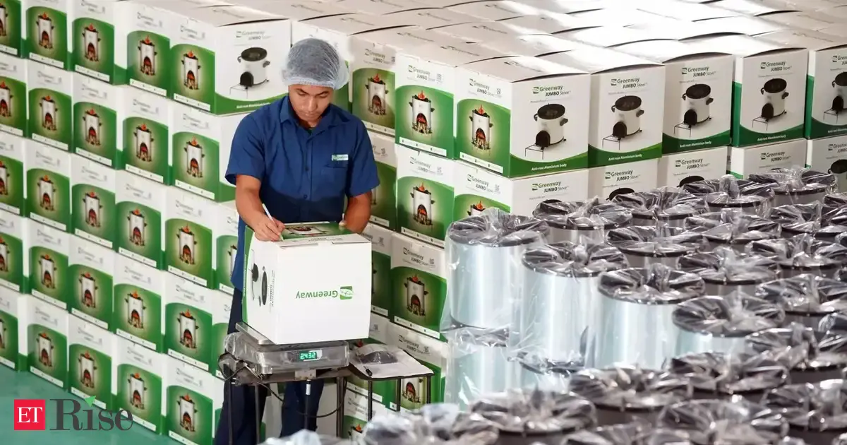 Fuelling change: A cookstove revolution for rural India is transforming into a scalable clean energy business