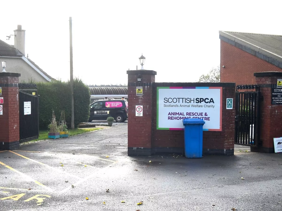 Dumbarton animal rescue charity set for walkout over chronic low pay dispute