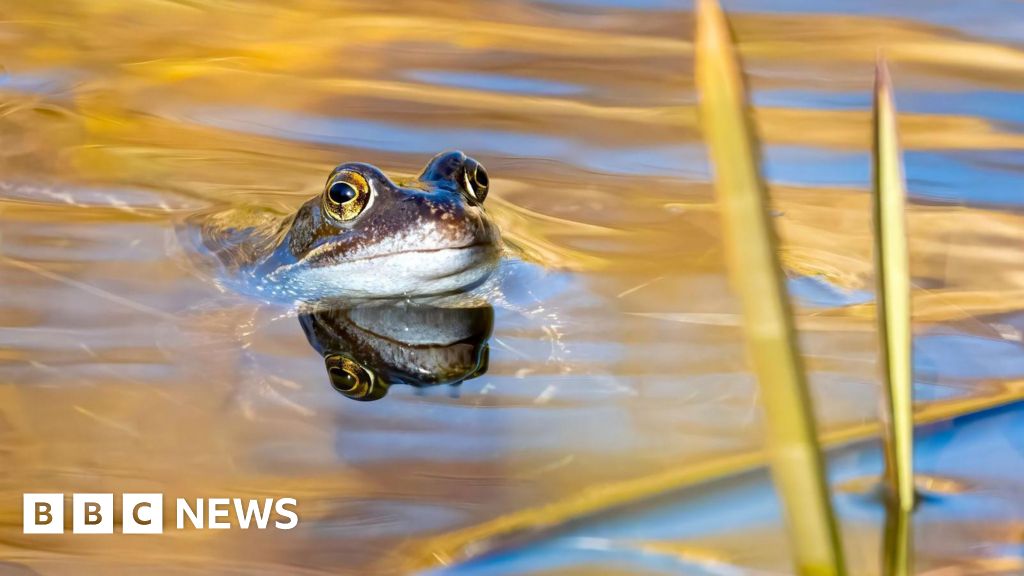 Award-winning wildlife photographers crowned