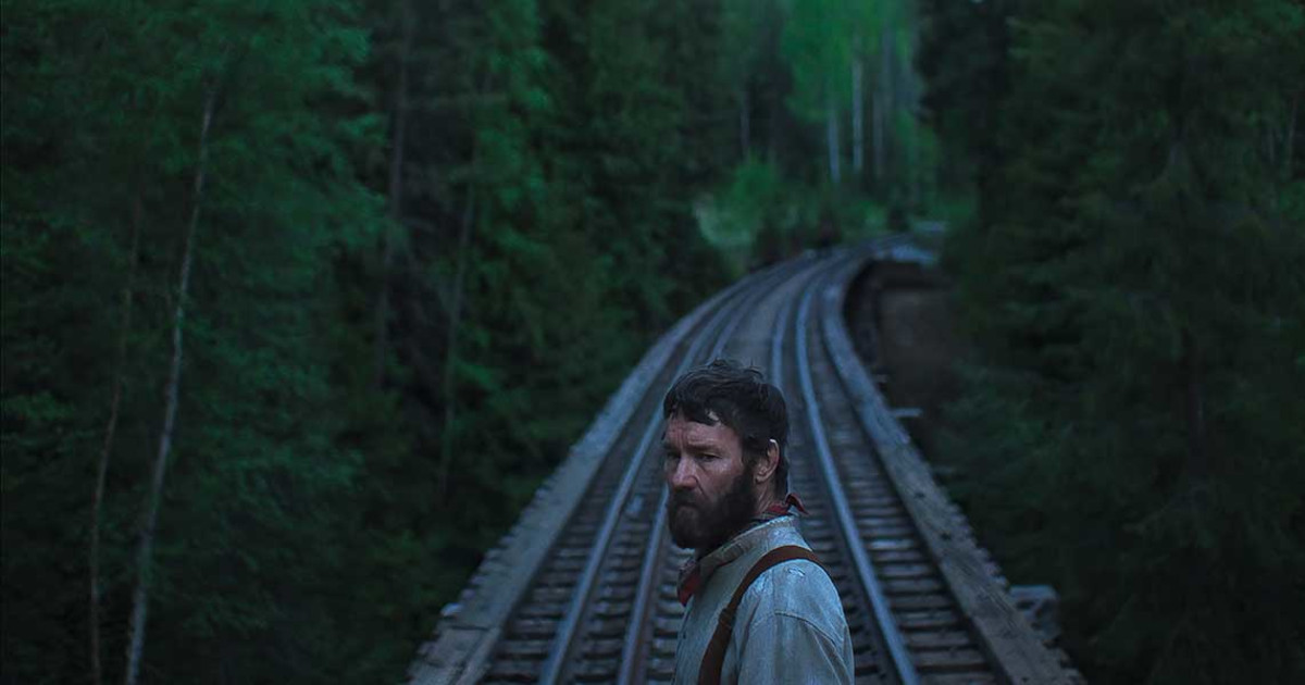 The Best New Movies to Stream or See in Theaters This November