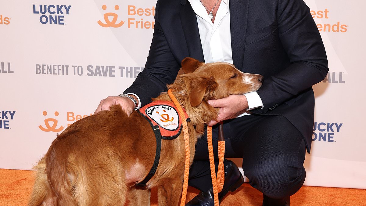 Dave Portnoy blasts 'weird' Tom Brady as he leads criticism of NFL legend cloning his dog