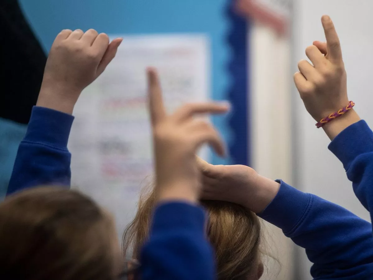 Education Authority announces price hike in school dinners