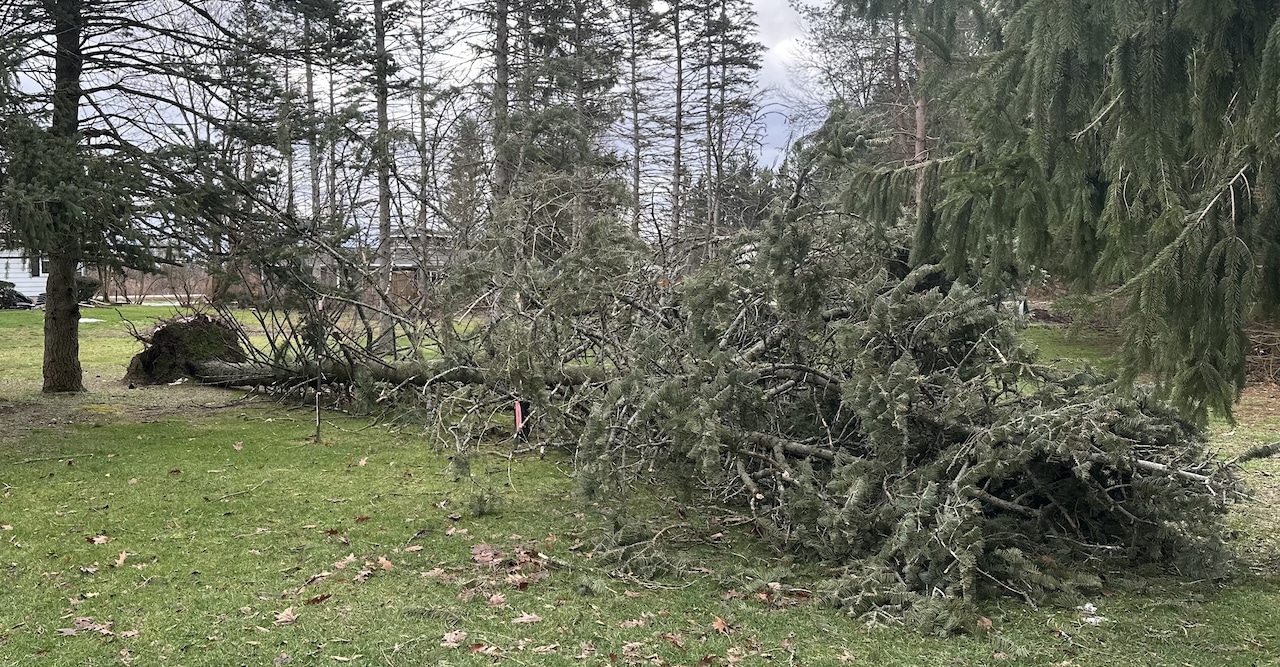 Wind gusts up to 60 mph could cause power outages in Upstate NY today