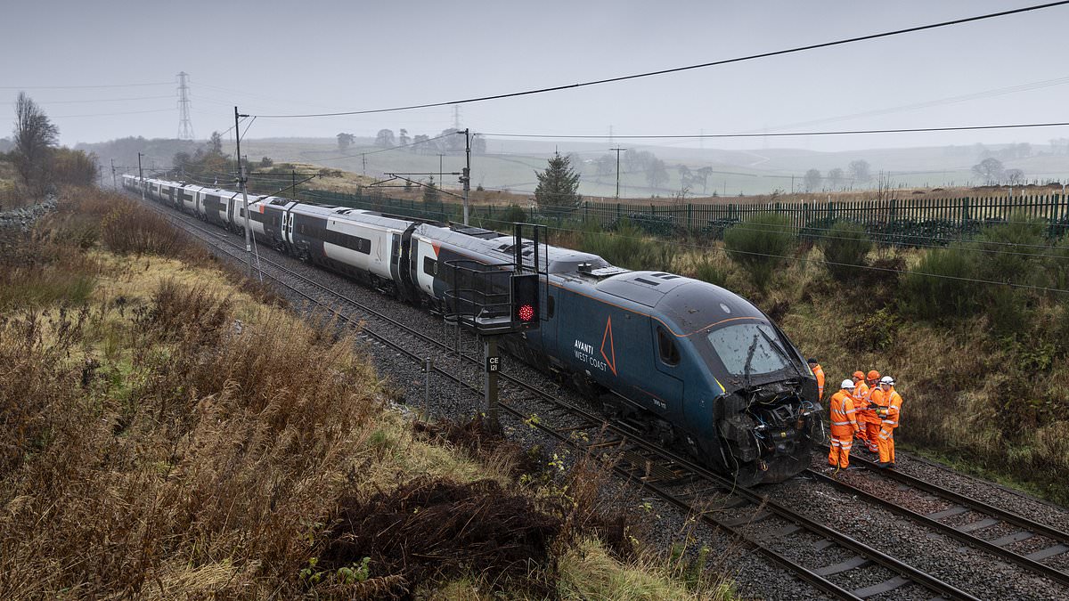Express train which derailed was doing 80mph when it left tracks - but hero driver praised for bringing carriages to a halt without any serious injuries