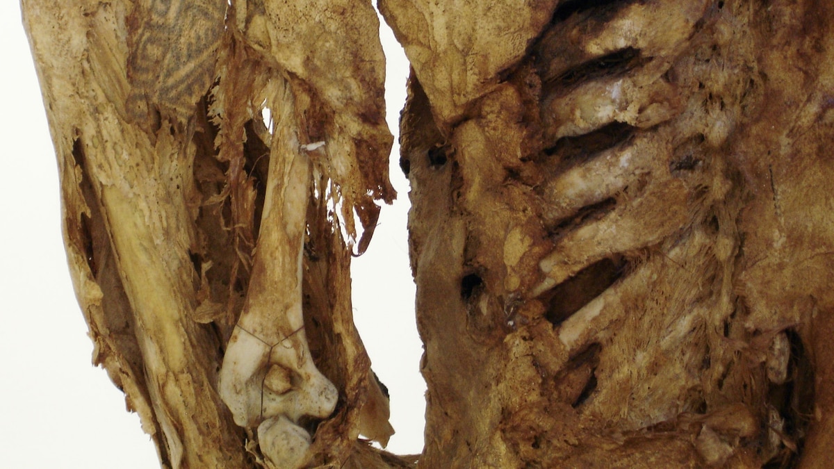 Here are 6 amazing ancient tattoos-and the stories behind them