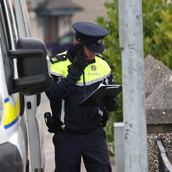 Gang armed with firearm and slash hooks attack Limerick home