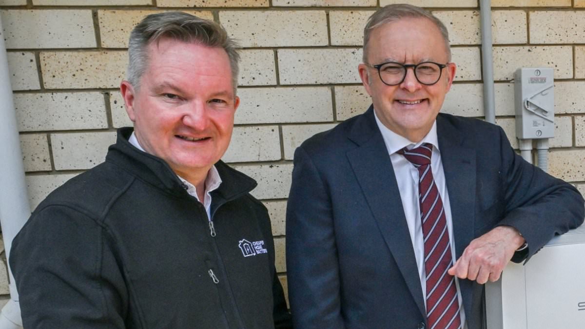 The big question Anthony Albanese needs to ask about the race to net-zero - and why it could be painful for your wallet