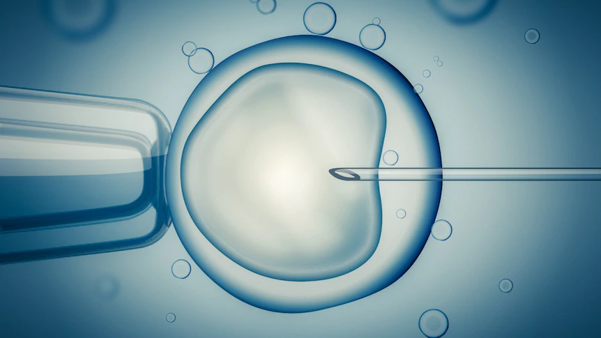 Egg bank's proposed 'reward' scheme likened to 'frequent flyers' for IVF clinics