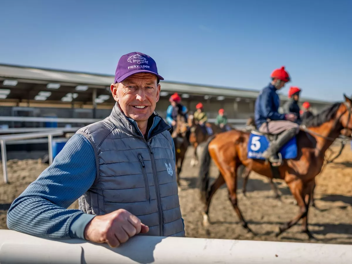 Gavin Cromwell gives five horses to follow including 33/1 Cheltenham Festival hope