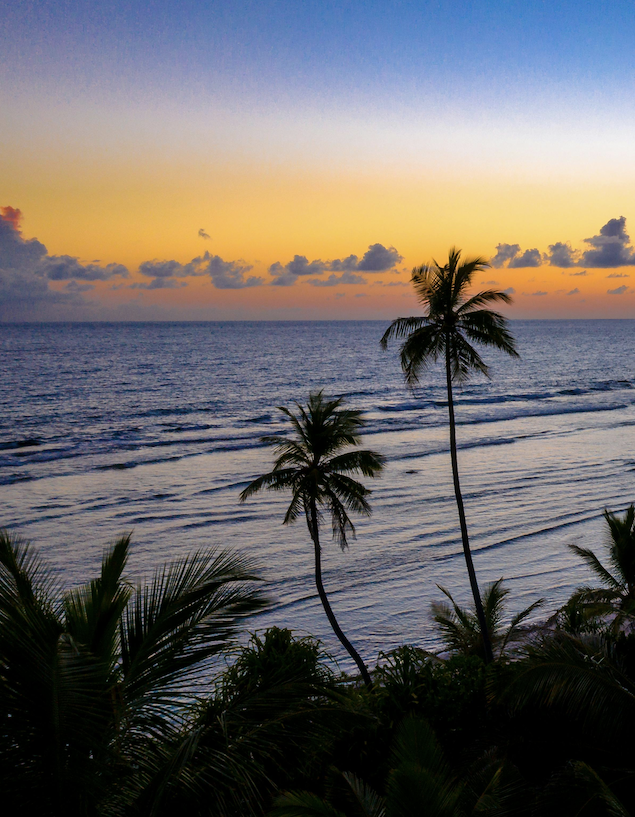 Gaming as the New Island Pastime