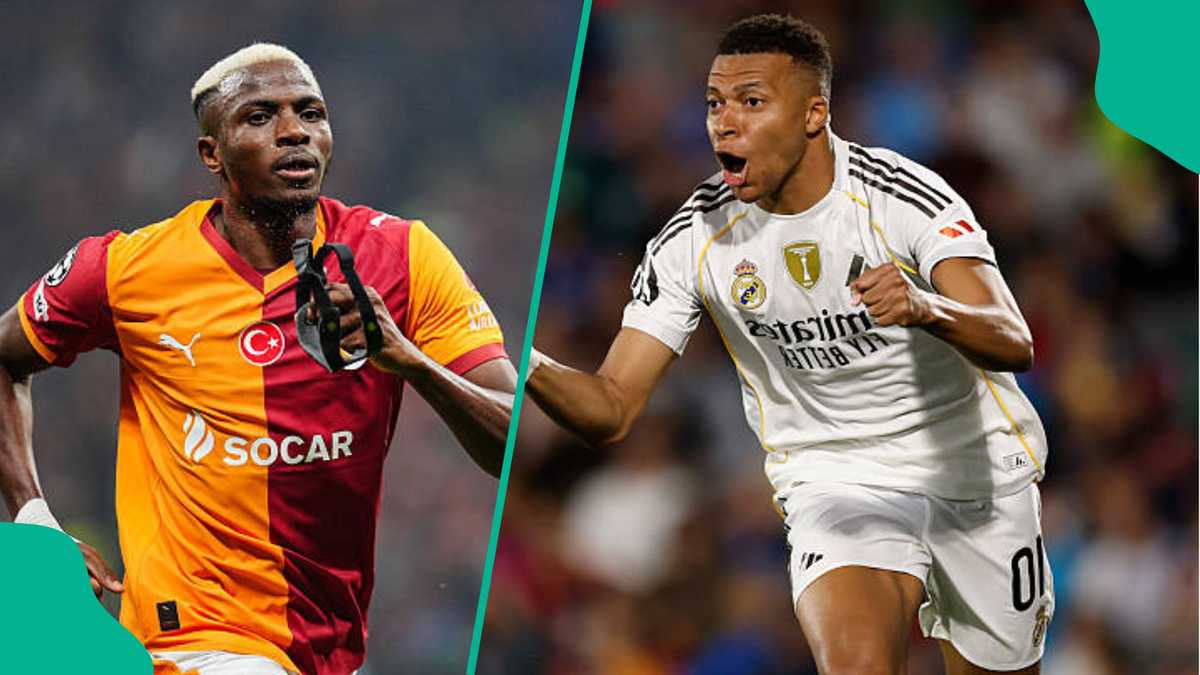 Victor Osimhen: Turkish football expert names Super Eagles star among top 5 strikers in Europe