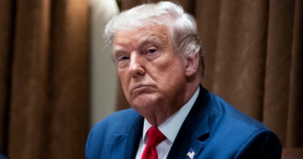 MAGA Loyalist on SNAP Benefits Regrets Voting for Trump