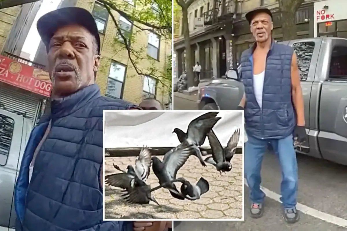 Pigeon poacher accused of kidnapping 'New Yorkers' to sell for shooting practice is free as a bird