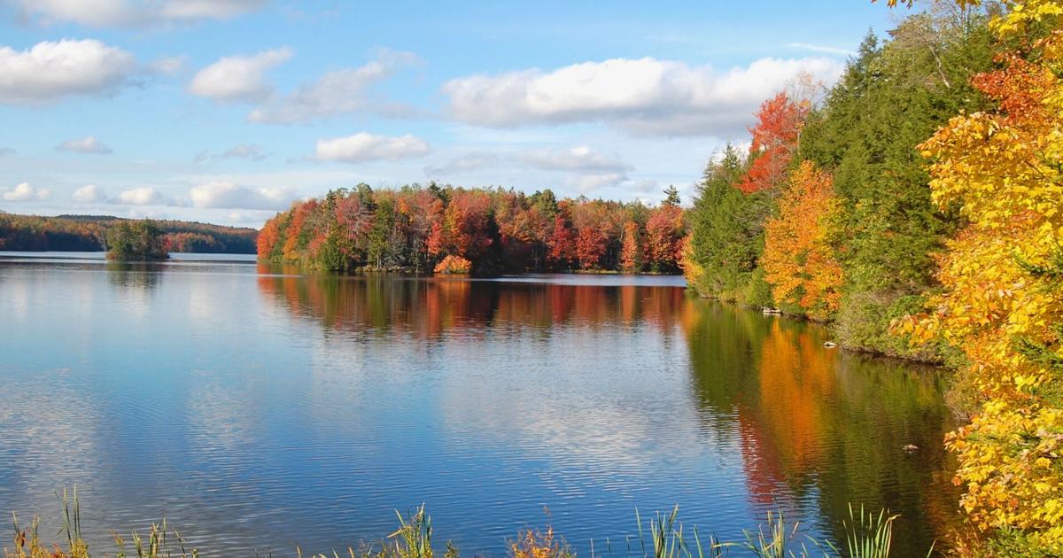 Mass Audubon set to buy a pristine woodland and lake in Becket