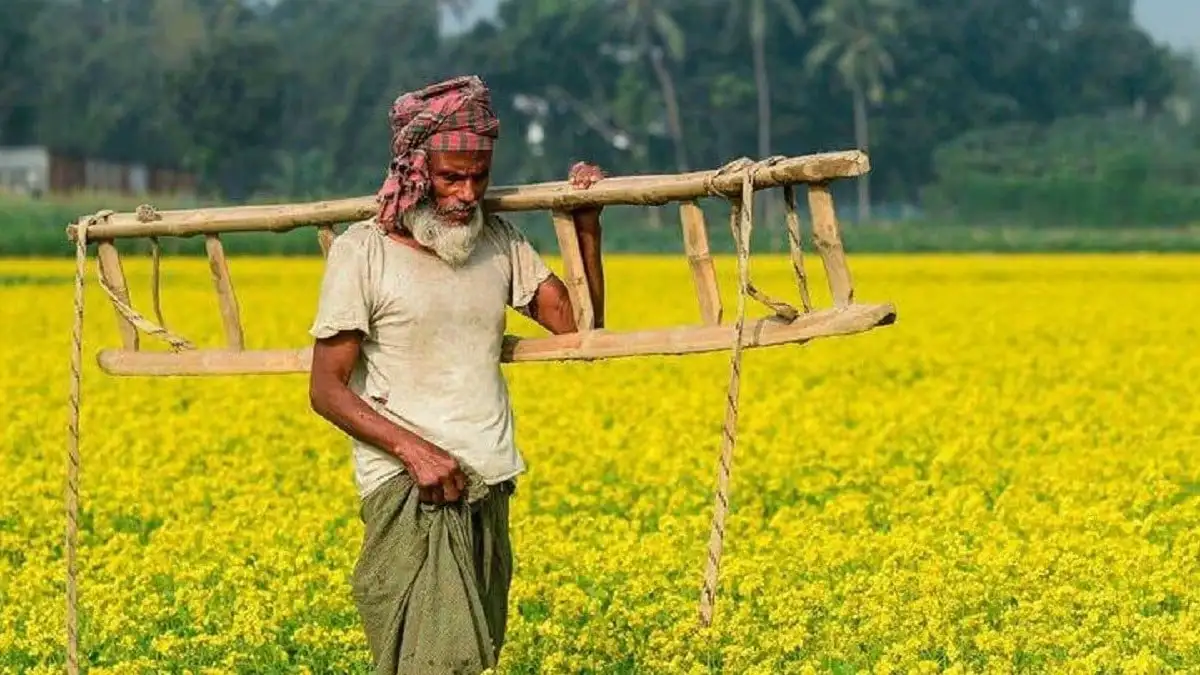 PM Kisan Yojana : 31 लाख किसानों के नाम लिस्ट से हटे, जानें कारण