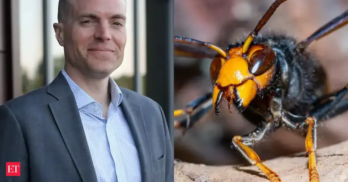 American father-son duo stung to death by Asian giant hornets as vacation turns deadly while zip-lining in Laos
