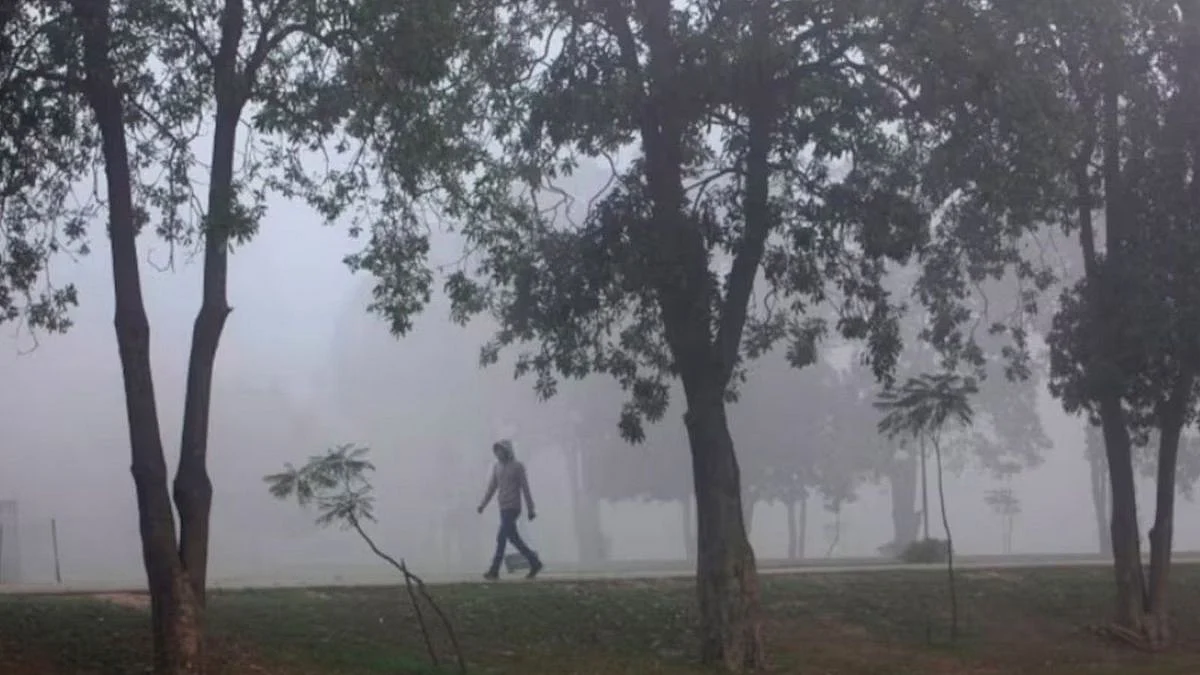 Indore News: Post-Devprabodhini Pollution Spike Pushes AQI To ‘Severe’; AQI Jumps From 38 To 436