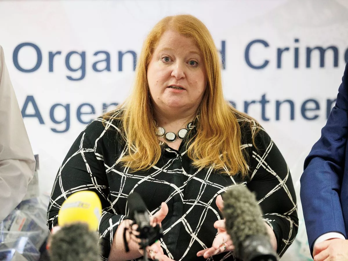 Justice Minister sets out NI's laws on online catfishing