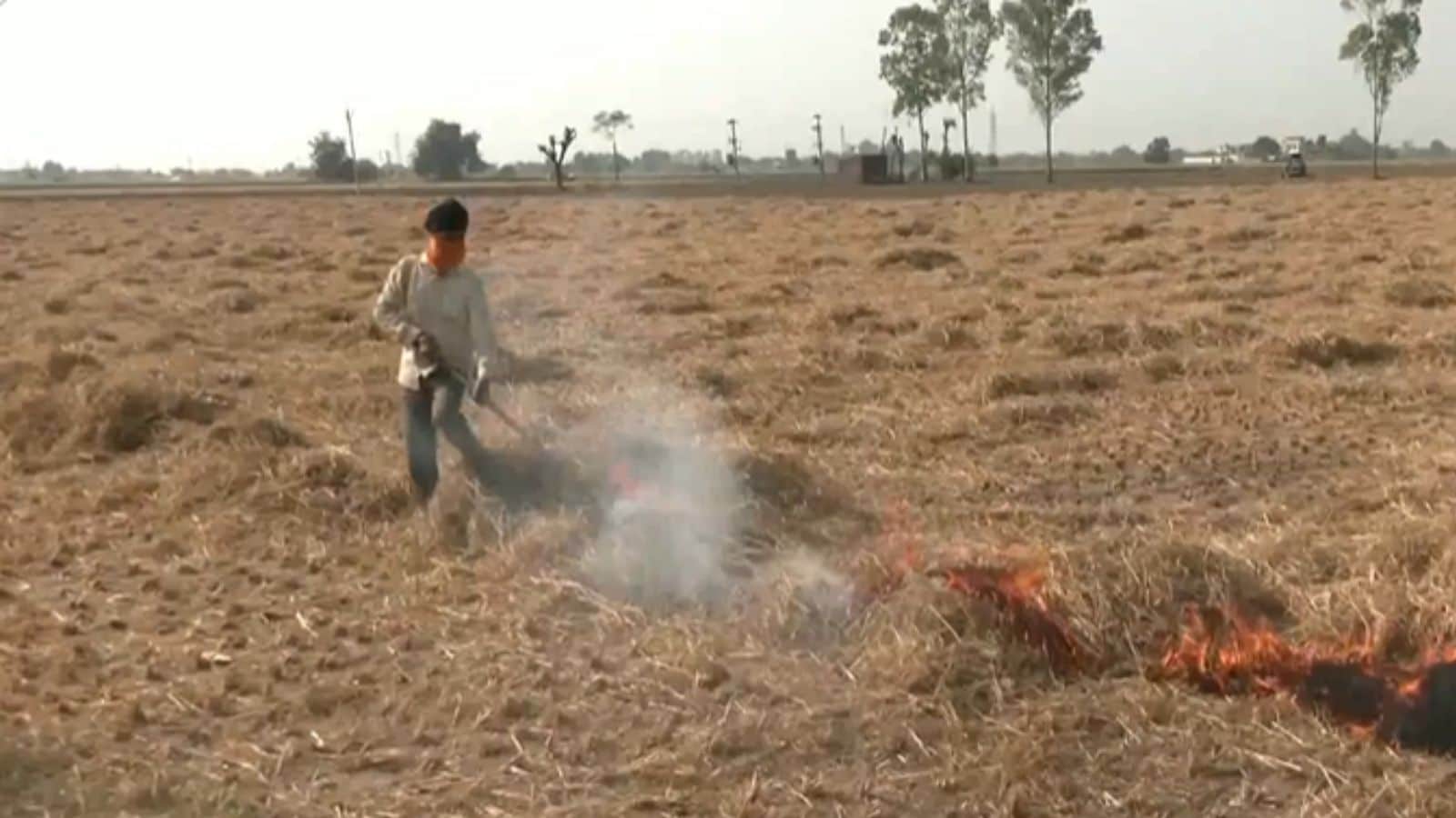 Punjab Sees Season’s Highest Single-Day Spike In Farm Fires, 147 Cases Reported
