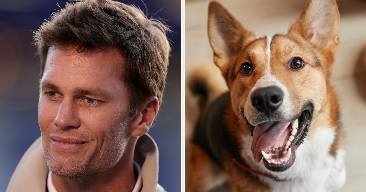 Tom Brady Cloned His Dog
