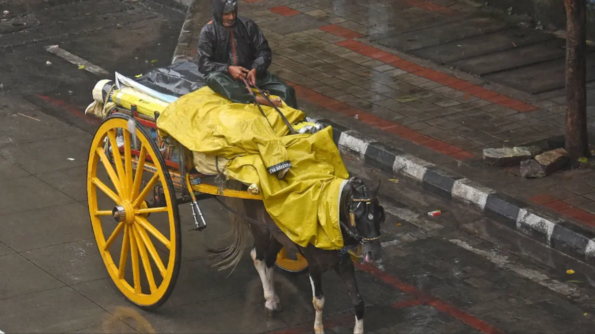 The Ghost Of 10,000 Deaths: Montha Brings Back Horrors Of 1999 Super Cyclone As It Hits Odisha Tonight
