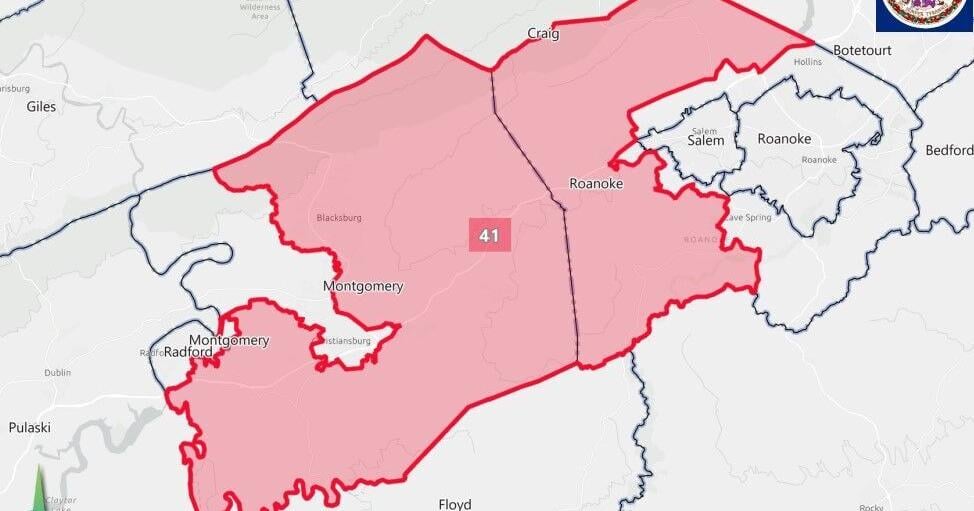 Franklin-Obenshain rematch against too close to call