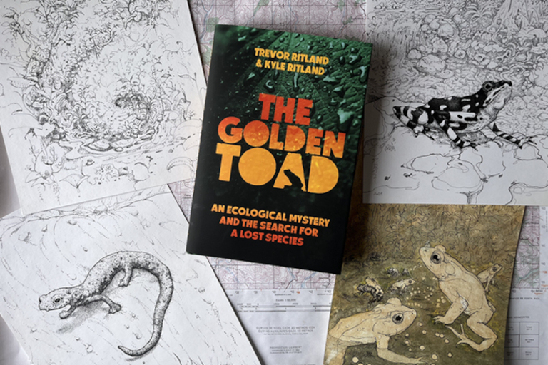 Crazy Town: Episode 113. Searching for the Golden Toad with Kyle and Trevor Ritland