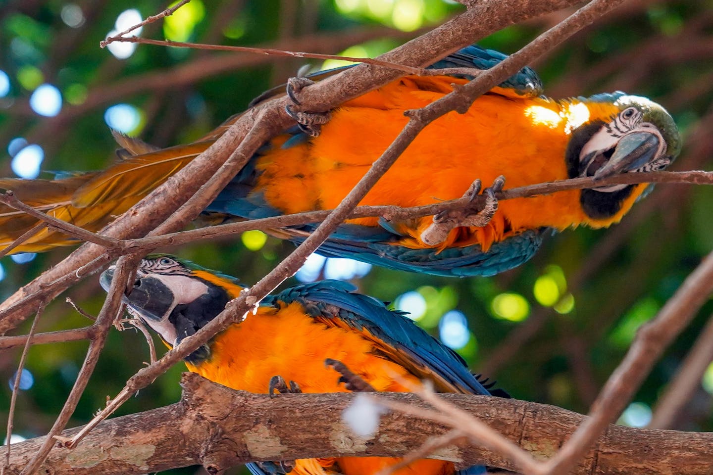 Q&A: COP30 could – finally – agree how to track the ‘global goal on adaptation’