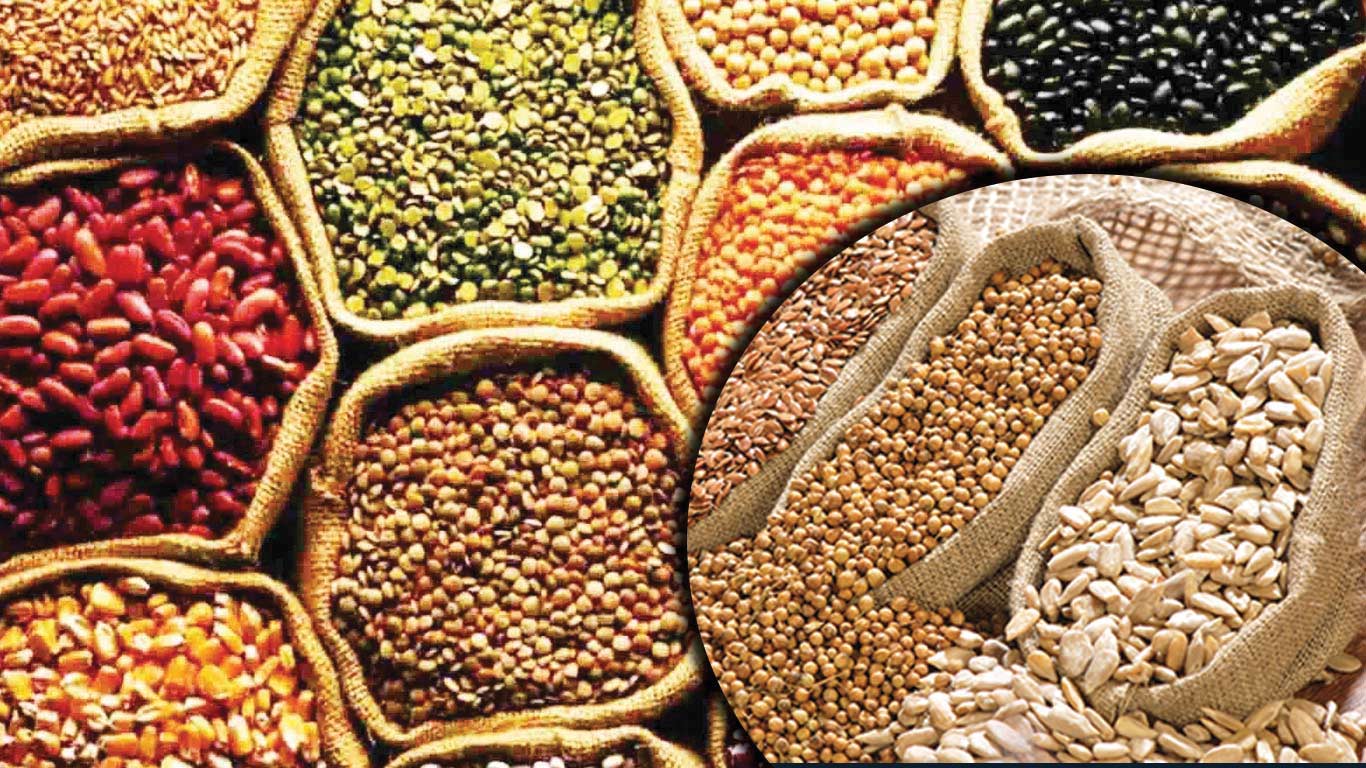 Govt Approves Rs 15,095 Cr Procurement Plan For Pulses, Oilseeds Across 4 States