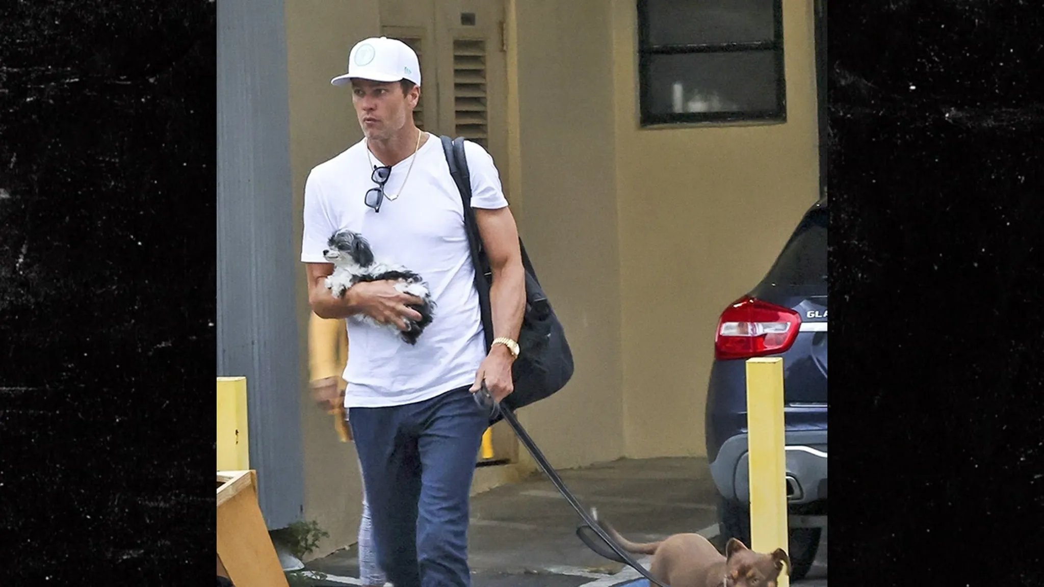 Tom Brady Reveals He Cloned His Dog