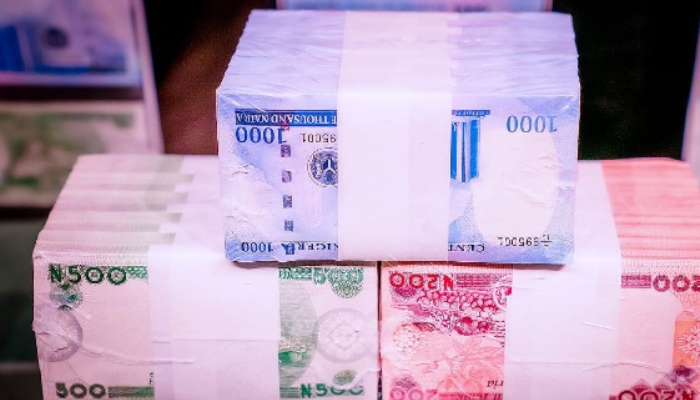 5 ways Nigerian women say they would invest ₦1 million to make more money