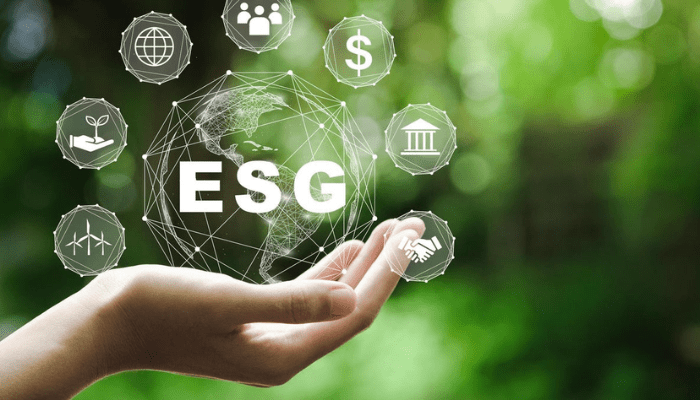 Data as power: ESG reporting as competitive advantage