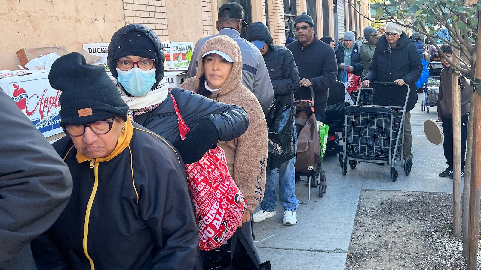 Food banks, pantries see surge in demand after SNAP benefits halted