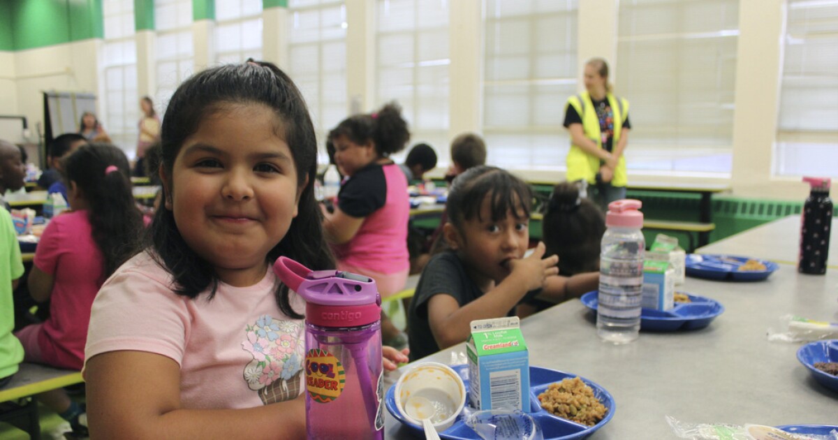 New Mexico becomes first state to offer free child care for all families