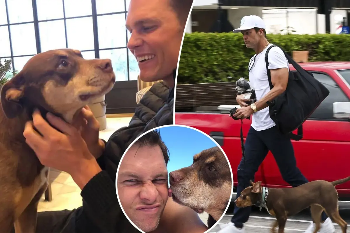 Tom Brady reveals he cloned his late dog to create newest pooch