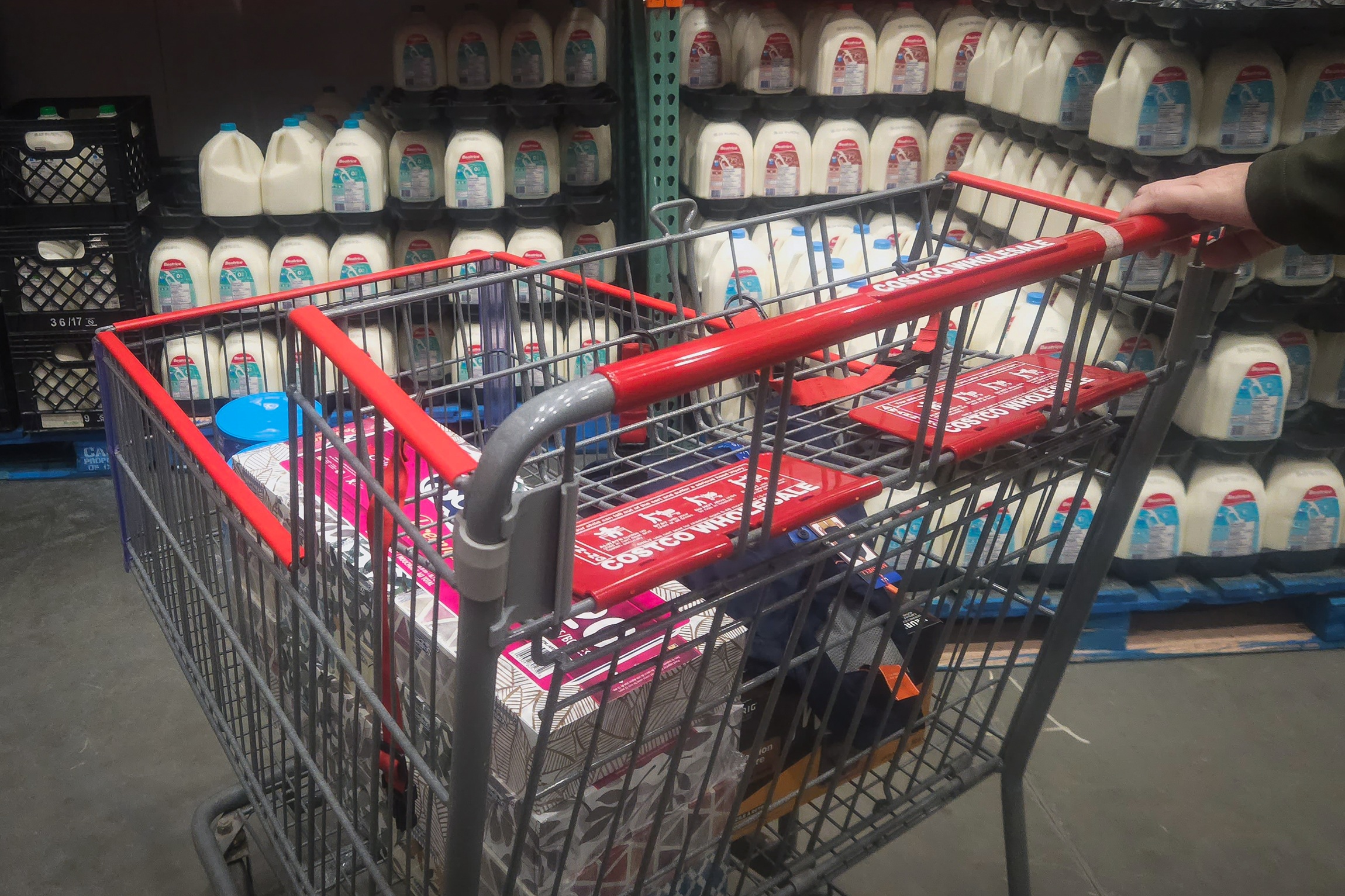 Trump Appears Ready to Defy Court Order, Withhold SNAP Funds Until Dems Budge