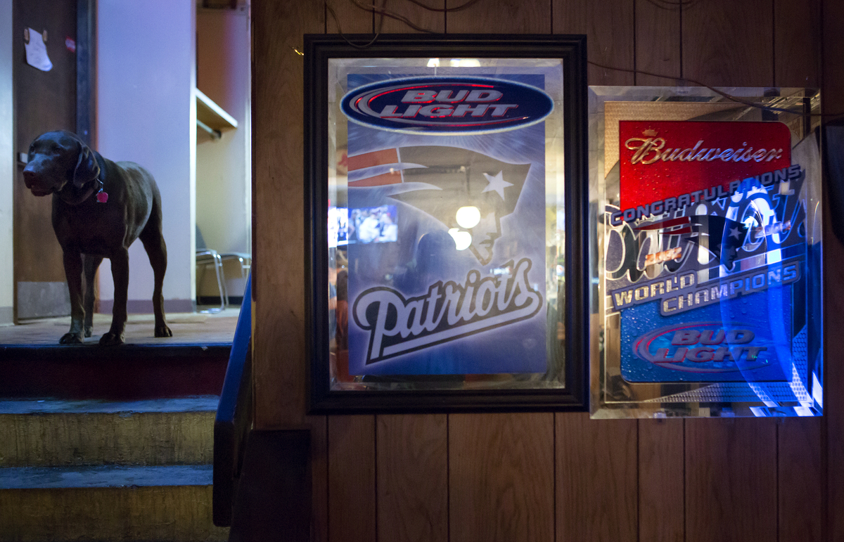 Beloved downtown Bangor dog has died