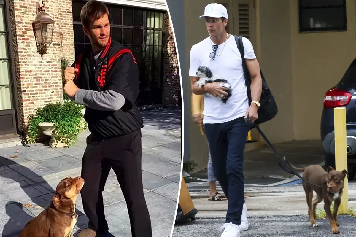 Tom Brady admits dog Junie is a clone of 'beloved' late pet Lua