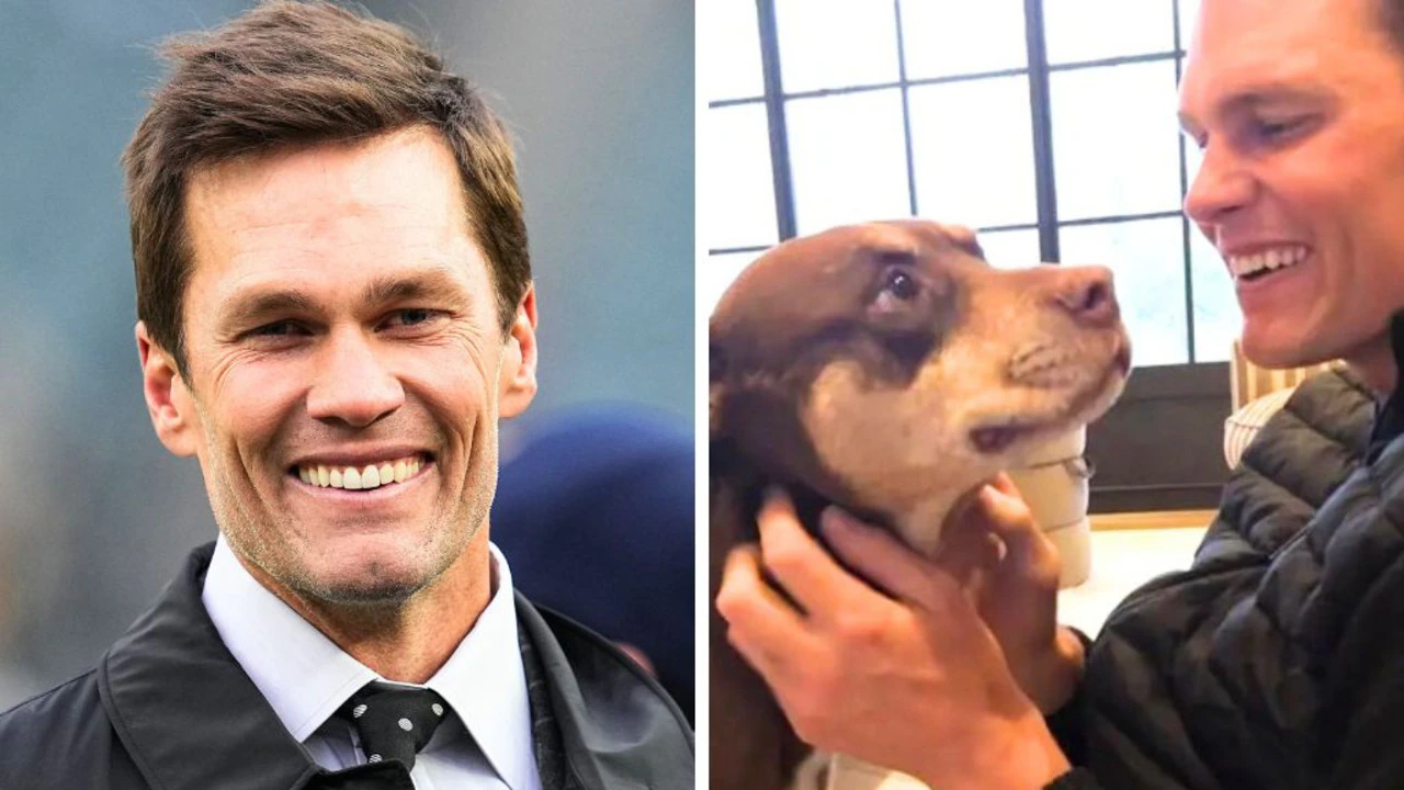 Tom Brady reveals he cloned his late dog to create new pooch