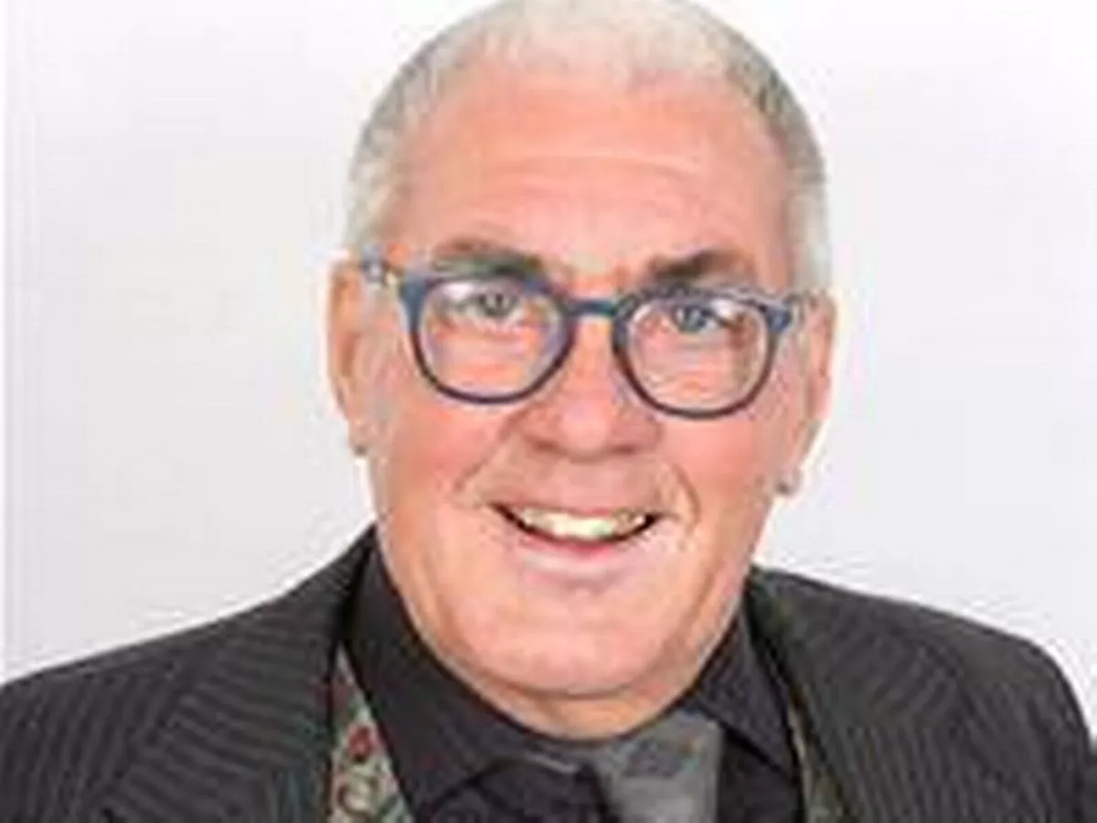 Councillor 'attacked' after backing affordable homes plan