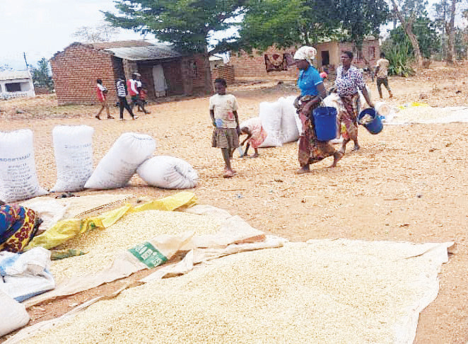 Unseen crisis of the working poor