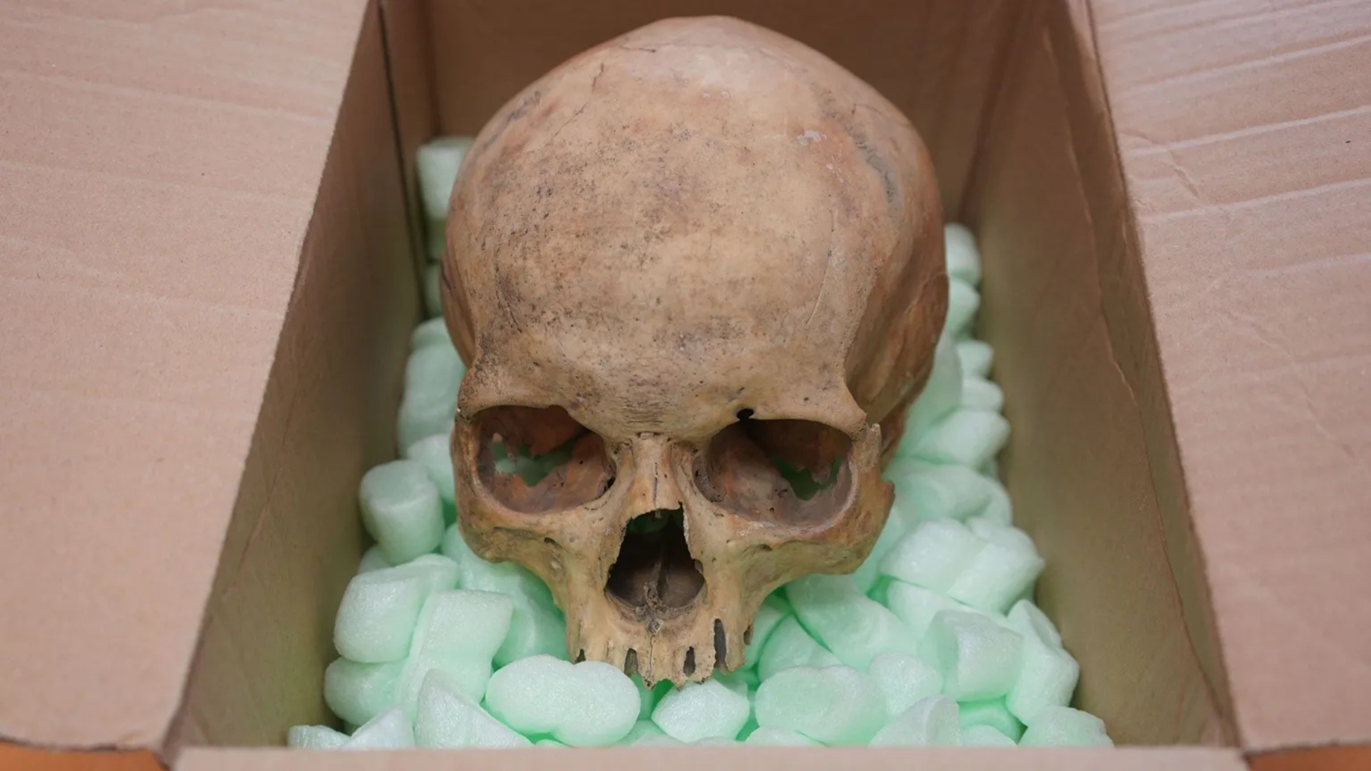 Tourist Stole a Skull From a Cathedral 60 Years Ago-and Just Returned It
