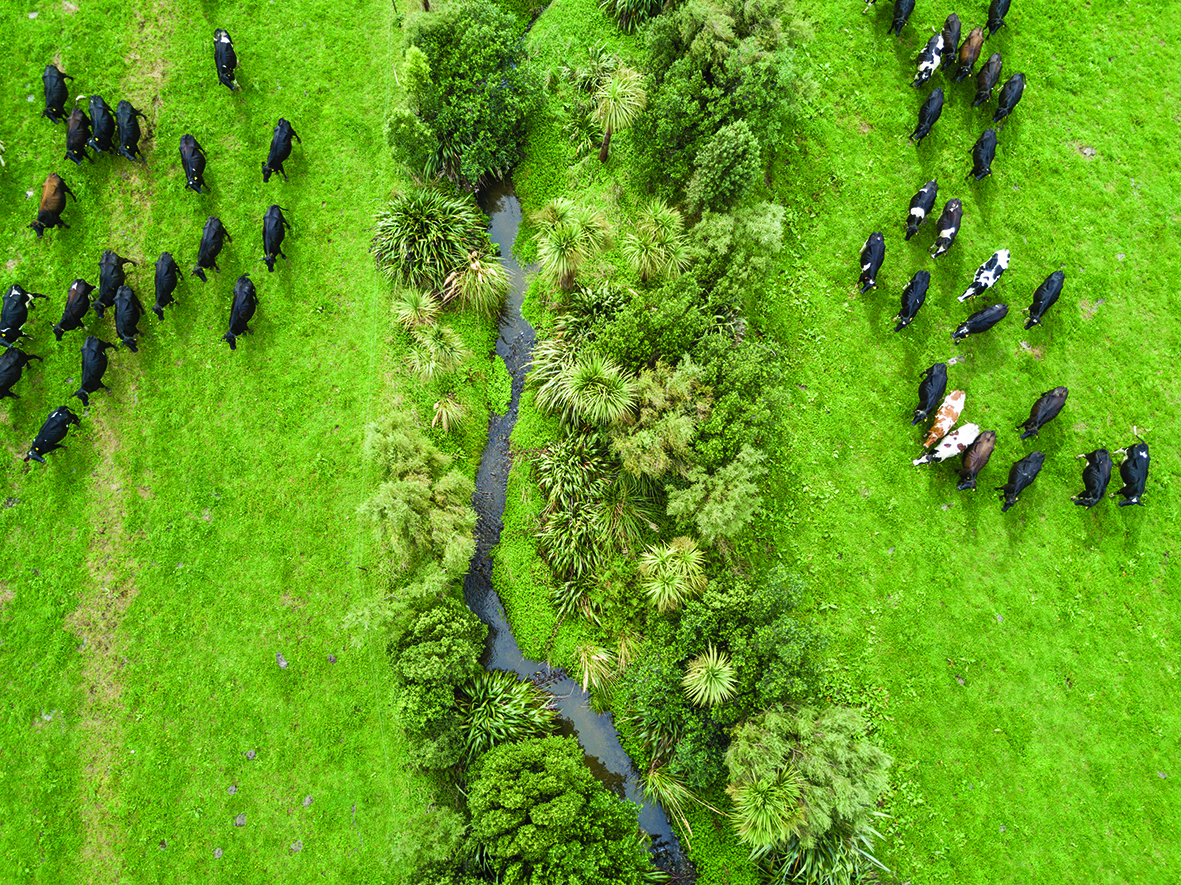 Corrupt, costly and cumbersome – that’s consenting