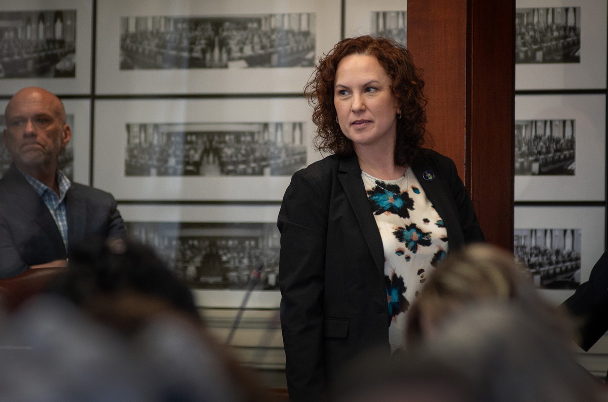 Maine lawmaker files to challenge Chellie Pingree in 2026 Democratic primary