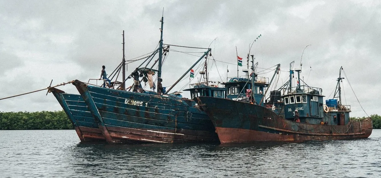 Expert calls for fairer deal in any new EU-Gambia fisheries deal