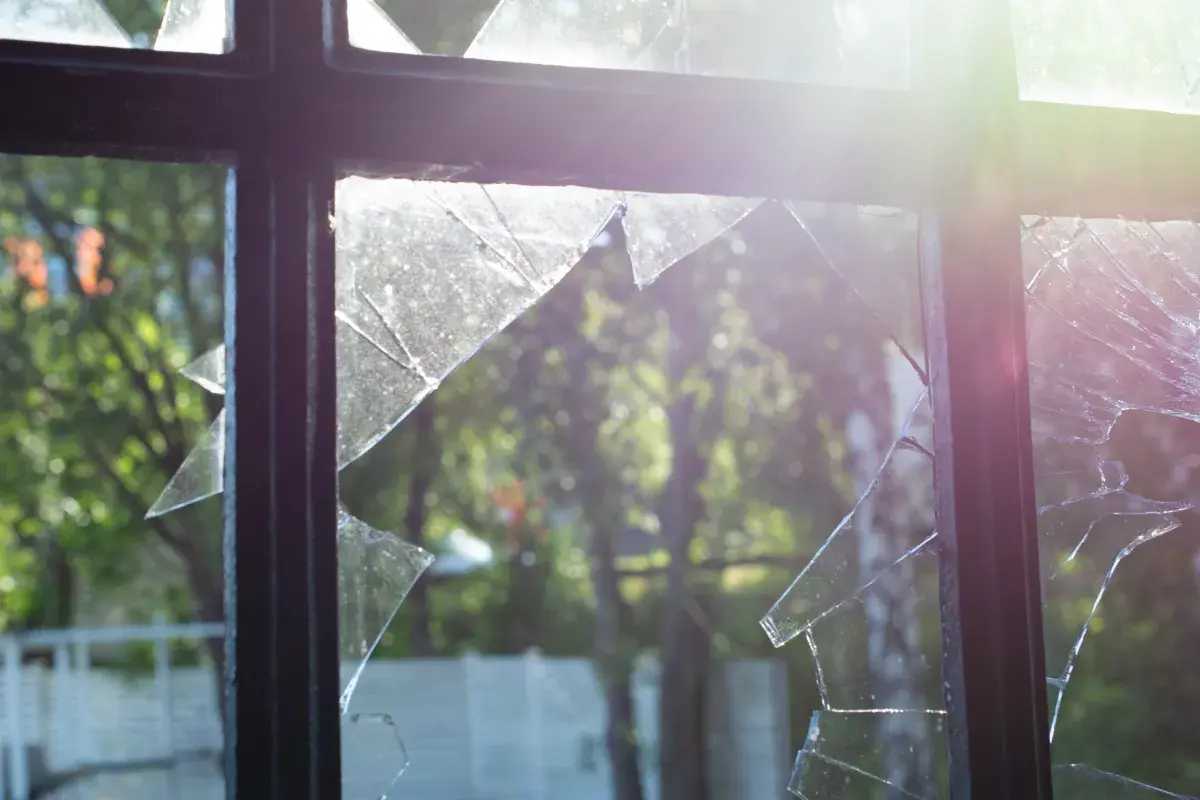 Warning Issued as Millions Told to Stay Away From Windows