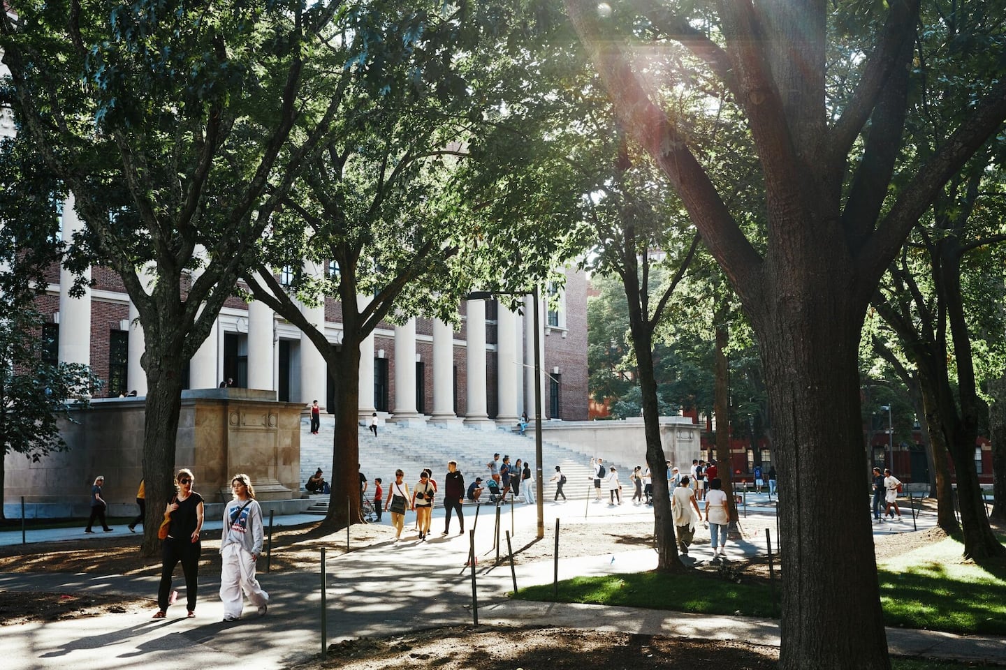 So, Harvard, what CAN alumni interviewers ask applicants?