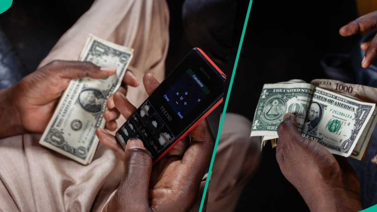 Find out more as US Dollar crashes against naira as Trump warns Nigerian govt