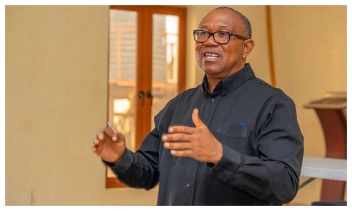 Insecurity: Engage America through diplomacy – Peter Obi to Nigerian govt