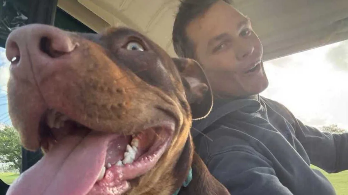 Tom Brady Reveals His Dog Junie Is A Clone Of His Old Dog Lua